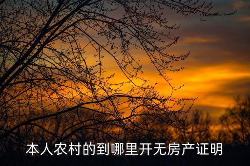 本人農村的到哪里開無房產證明