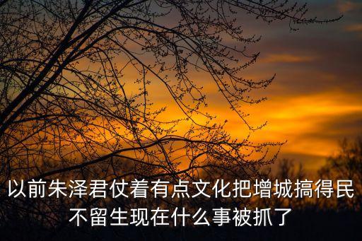 以前朱澤君仗著有點文化把增城搞得民不留生現在什么事被抓了