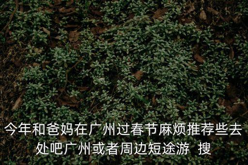 今年我和爸爸媽媽留在廣州過春節，今年和爸媽在廣州過春節麻煩推薦些去處吧廣州或者周邊短途游  搜
