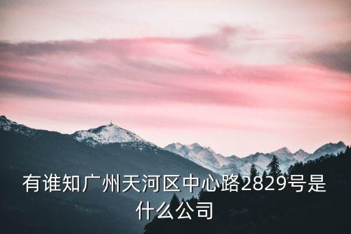 有誰知廣州天河區中心路2829號是什么公司