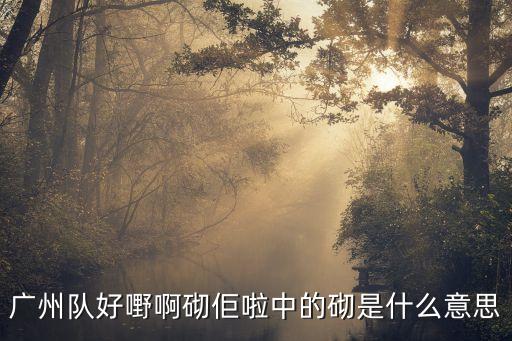 廣州隊出場視頻，2010NBA中國賽廣州站