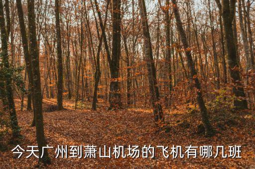 今天廣州到蕭山機(jī)場(chǎng)的飛機(jī)有哪幾班