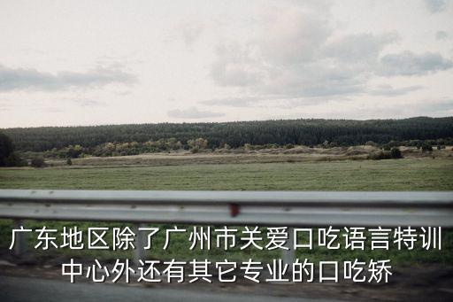 廣東地區除了廣州市關愛口吃語言特訓中心外還有其它專業的口吃矯