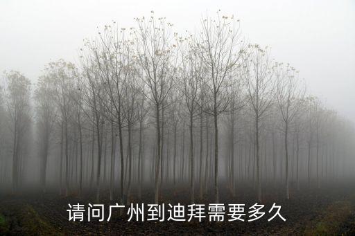 請問廣州到迪拜需要多久