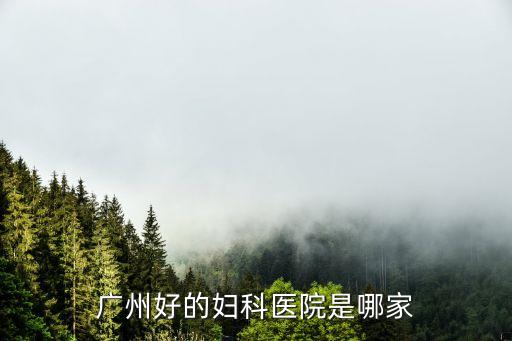 多地醫護馳援廣州市，康眾卡提供了哪些醫院的網上預約掛號 求行家解答