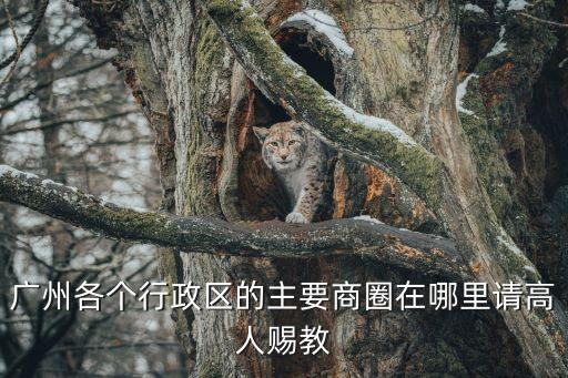 廣州各個行政區的主要商圈在哪里請高人賜教