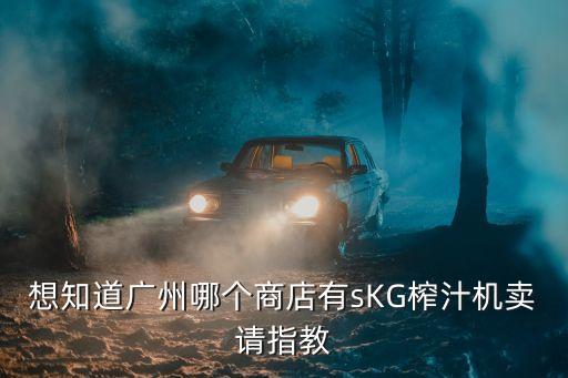 廣州太古匯有skg嗎，想知道廣州哪個商店有sKG榨汁機賣請指教