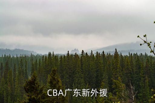 CBA廣東新外援