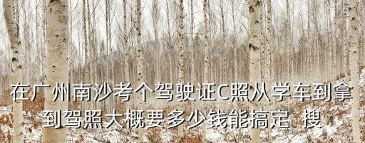 在廣州南沙考個(gè)駕駛證C照從學(xué)車到拿到駕照大概要多少錢能搞定  搜