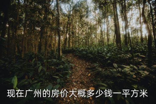 現在廣州的房價大概多少錢一平方米