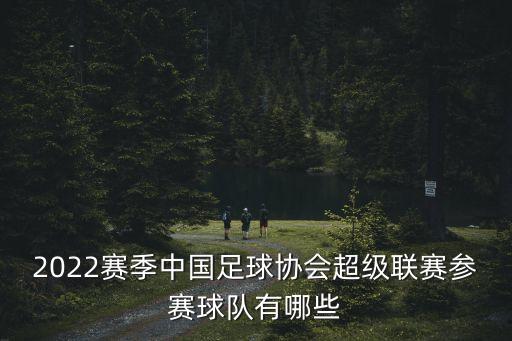 2022賽季中國足球協(xié)會超級聯(lián)賽參賽球隊有哪些