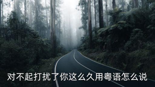對不起打擾了你這么久用粵語怎么說