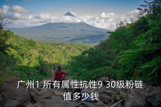 廣州1 所有屬性抗性9 30級粉鏈 值多少錢