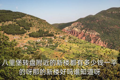 八里堡轉盤附近的新樓都有多少錢一平的呀那的新樓好嗎誰知道呀