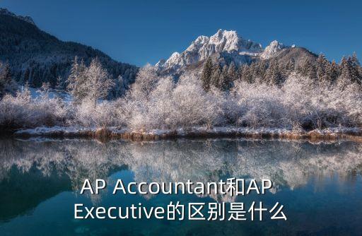 AP Accountant和AP Executive的區(qū)別是什么