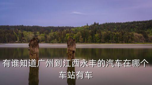 廣州車路經悅城永豐車，誰可以告訴我在廣州哪可以坐到去江西樂安或是永豐的大巴呢