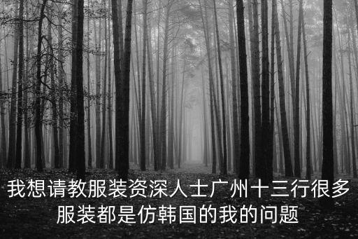 我想請(qǐng)教服裝資深人士廣州十三行很多服裝都是仿韓國(guó)的我的問題