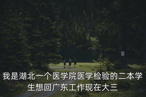 我是湖北一個醫學院醫學檢驗的二本學生想回廣東工作現在大三