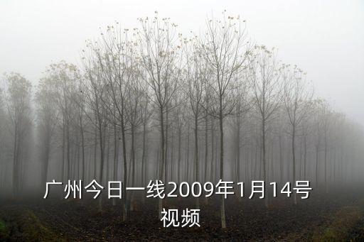 廣州小伙開車撞到老人，廣州今日一線2009年1月14號 視頻
