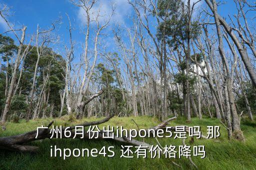 廣州6月份出ihpone5是嗎 那ihpone4S 還有價格降嗎