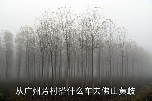 廣州榮興路口芳村大道北，廣州天河客運站到荔灣芳村大道要怎么去