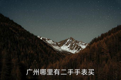 廣州哪里有二手手表買