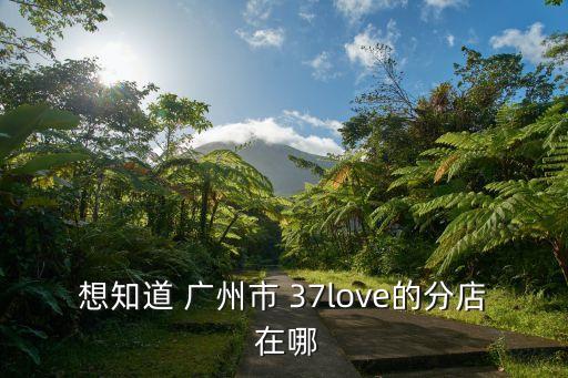 想知道 廣州市 37love的分店 在哪