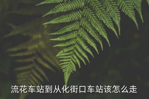 廣州流花車站到從化街口怎么坐車，流花車站到從化街口車站該怎么走