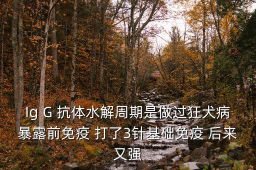 Ig G 抗體水解周期是做過狂犬病暴露前免疫 打了3針基礎免疫 后來又強