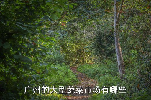 廣州菜綜合市場，廣州的大型蔬菜市場有哪些