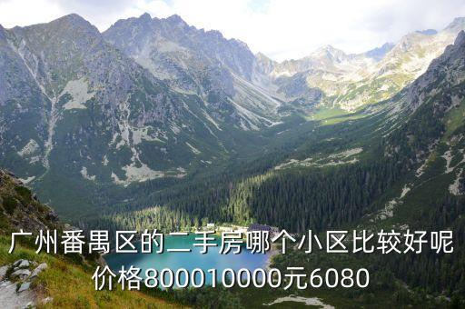 廣州番禺區(qū)的二手房哪個小區(qū)比較好呢價格800010000元6080