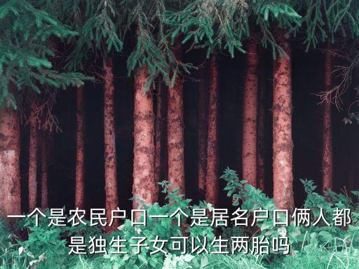 廣州農民工娶獨生女，一個是農民戶口一個是居名戶口倆人都是獨生子女可以生兩胎嗎