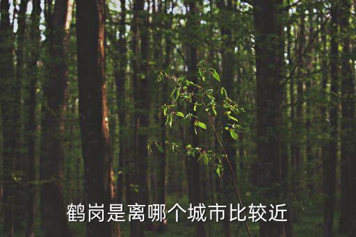 鶴崗是離哪個城市比較近