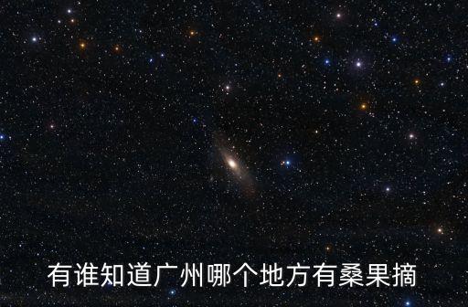 廣州桑葚哪里好玩，有誰知道廣州哪個地方有桑果摘