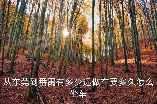 從東莞到番禺有多少遠(yuǎn)做車要多久怎么坐車