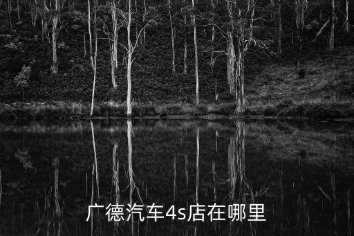 廣德汽車4s店在哪里