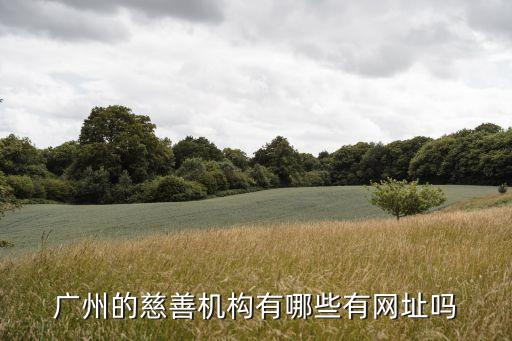 廣州市援助基金會，廣州的慈善機構有哪些有網址嗎