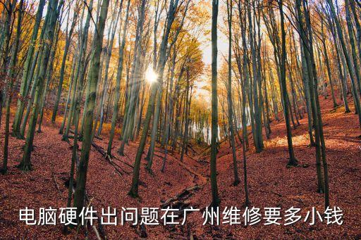 電腦硬件出問(wèn)題在廣州維修要多小錢(qián)
