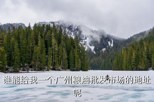 誰能給我一個廣州糧油批發(fā)市場的地址呢