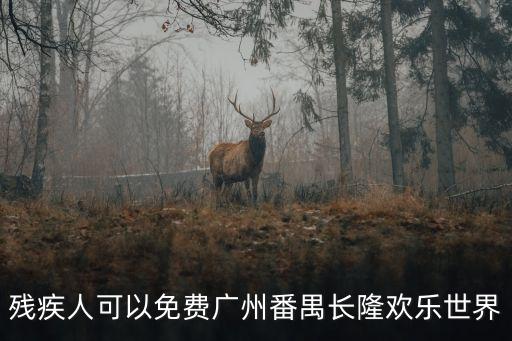 廣州番禺區nt免費券，殘疾人可以免費廣州番禺長隆歡樂世界