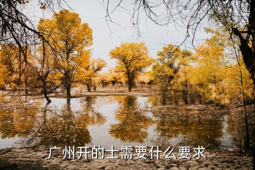 廣州開的士需要什么要求