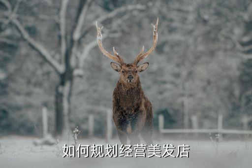 如何規(guī)劃經(jīng)營美發(fā)店