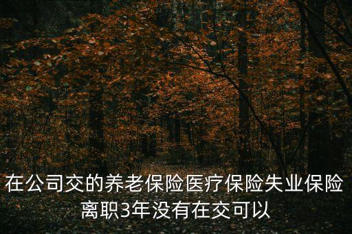 廣州社保滯納不補繳可以嗎，養老保險中間停繳了不補可以嗎