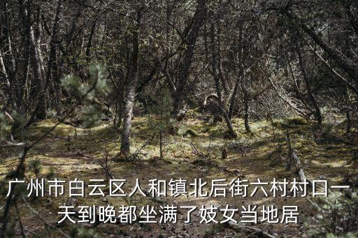 廣州白云區(qū)新鎮(zhèn)莊的夜市，廣州白云區(qū)哪里有夜市小吃街
