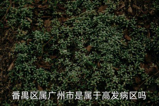 廣州番禺區病例分布，番禺區屬廣州市是屬于高發病區嗎