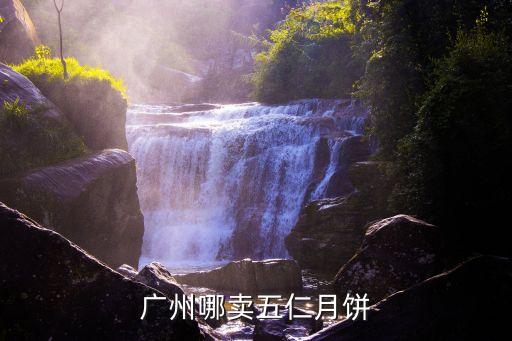 廣州哪賣五仁月餅