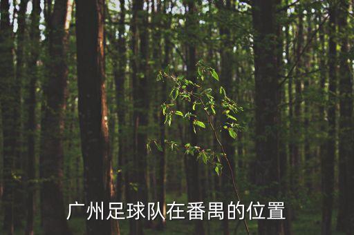 廣州足球隊在番禺的位置