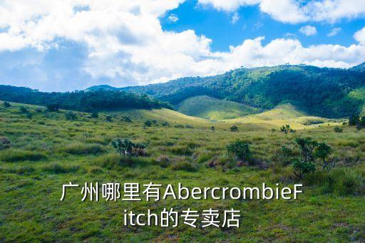 廣州哪里有AbercrombieFitch的專賣店