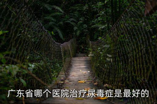 廣東省哪個醫院治療尿毒癥是最好的