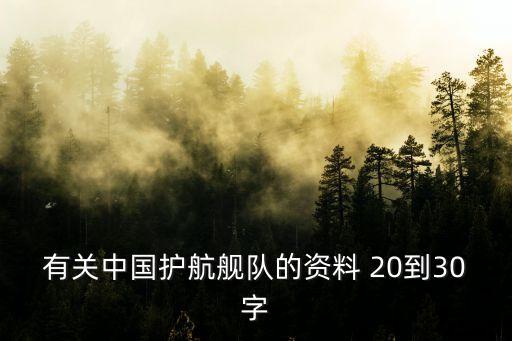中國海軍早期廣州號護衛艦，有關中國護航艦隊的資料 20到30字